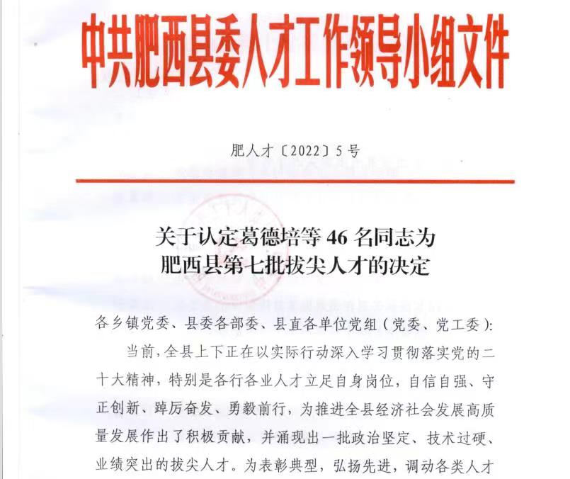 深藍(lán)醫(yī)療總經(jīng)理榮獲“肥西縣第七批拔尖人才”榮譽(yù)稱(chēng)號(hào) 深藍(lán)醫(yī)療總經(jīng)理榮獲“肥西縣第七批拔尖人才”榮譽(yù)稱(chēng)號(hào)