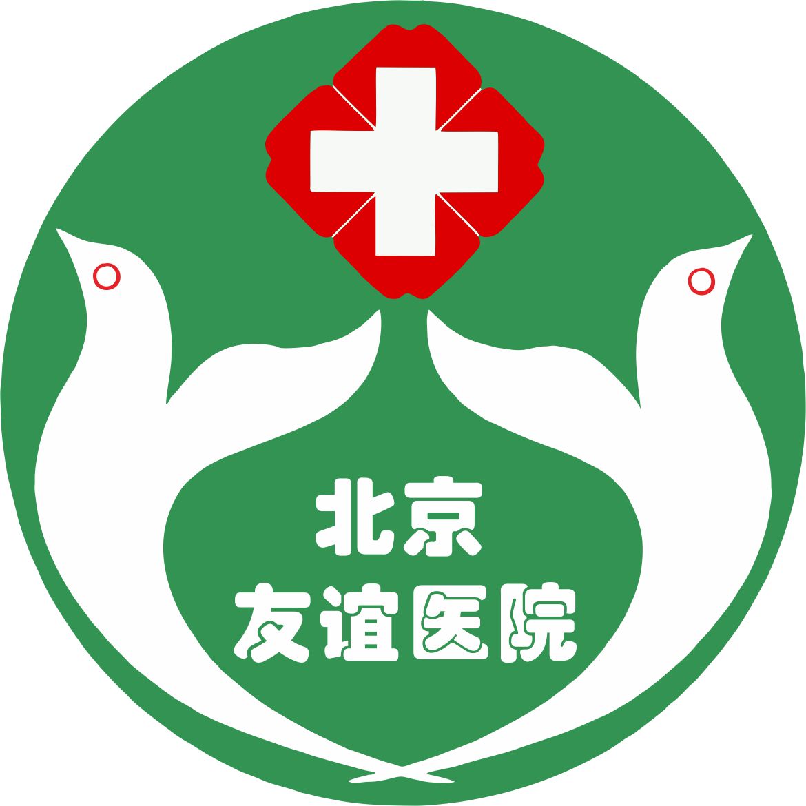 首都醫(yī)科大學(xué)附屬北京友誼醫(yī)院